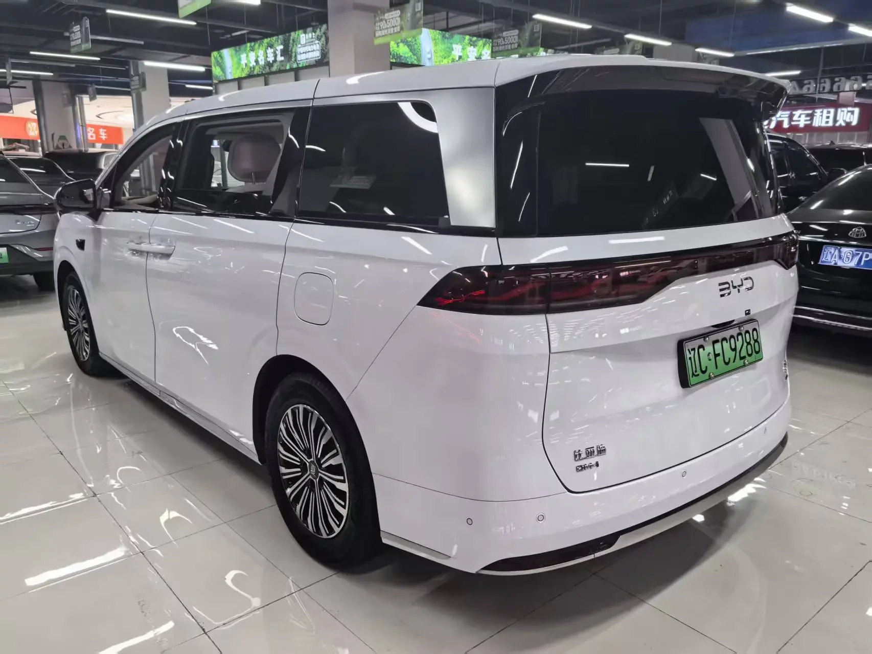BYD summer