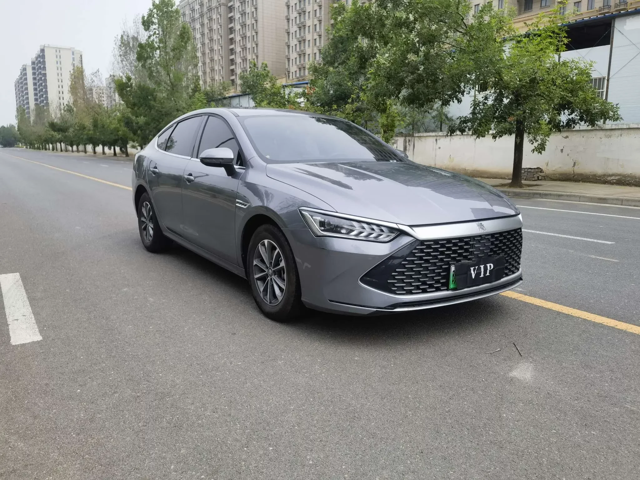 BYD Qin PLUS DM