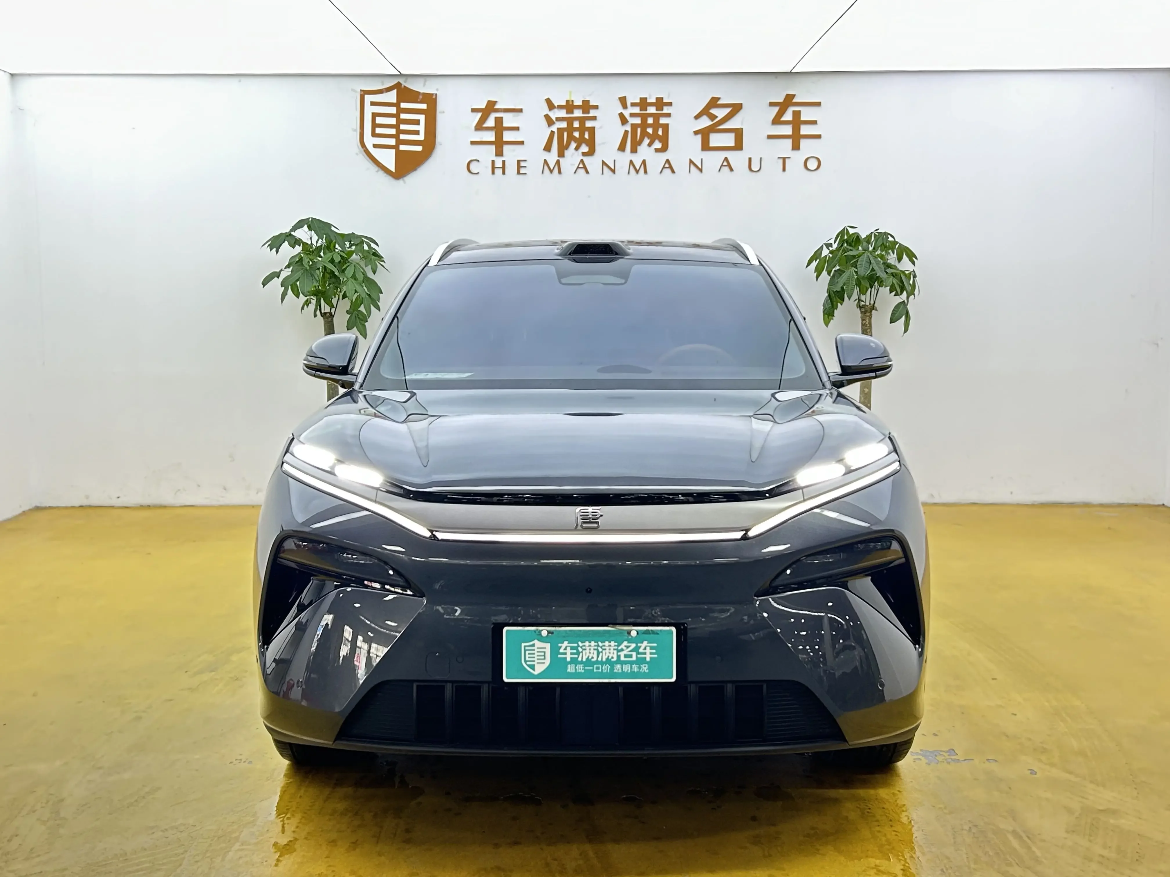 BYD Tang L EV  из Китая