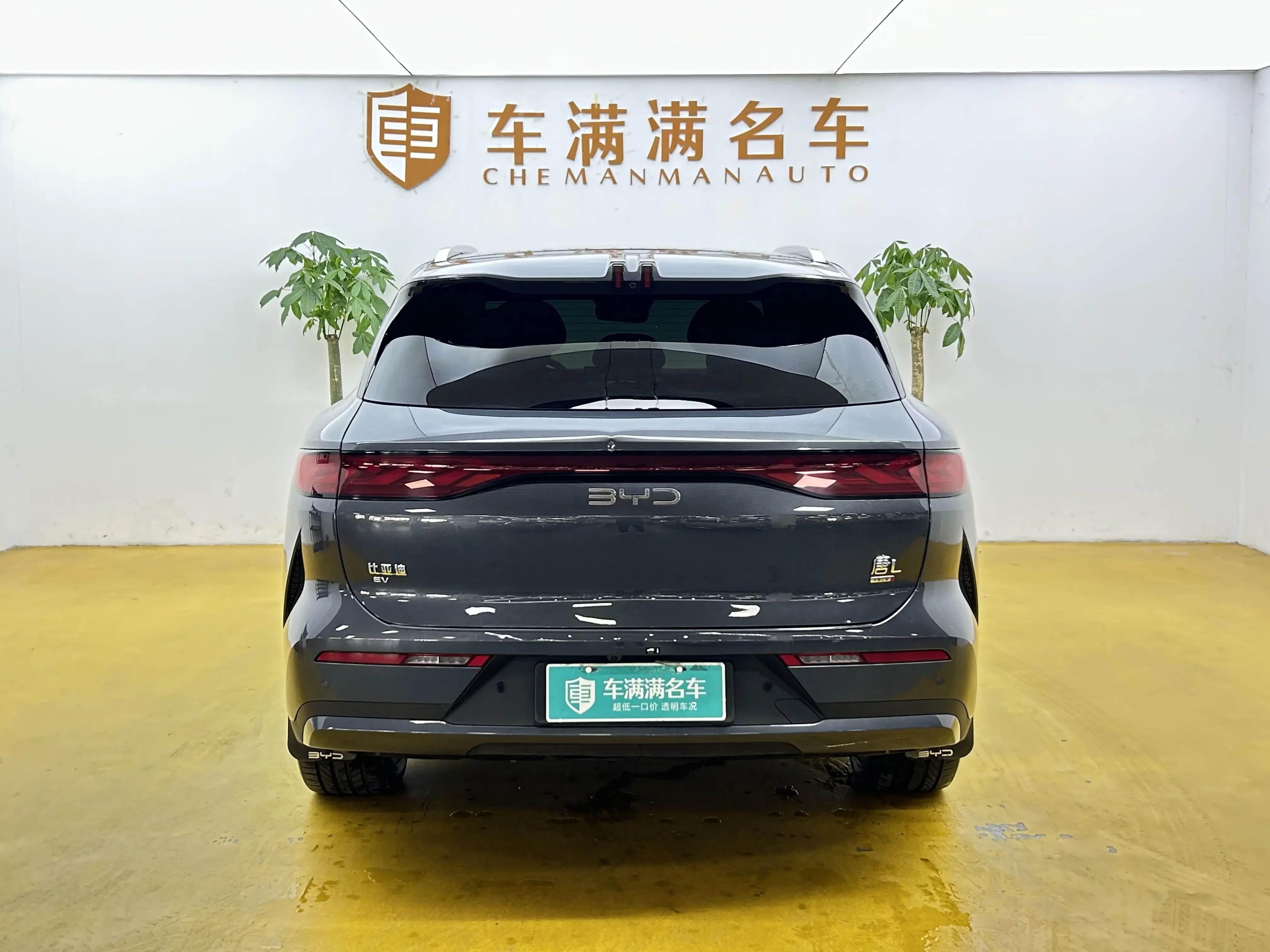 BYD Tang L EV