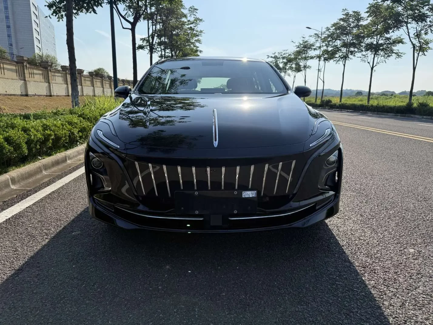 Hongqi E-QM5