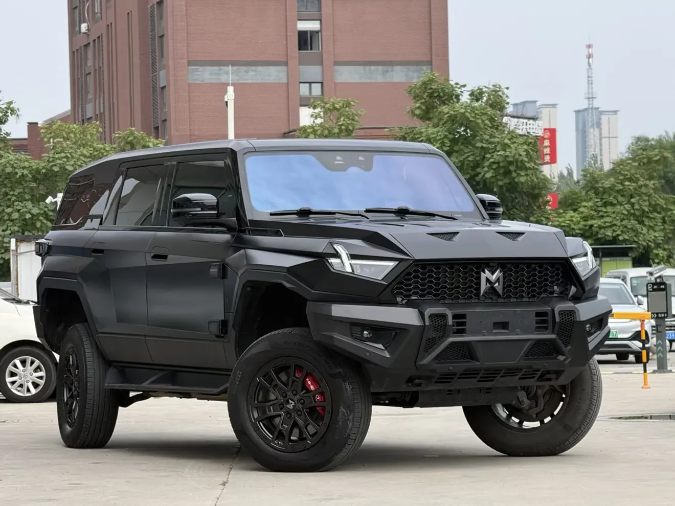 Mengshi Warrior 917