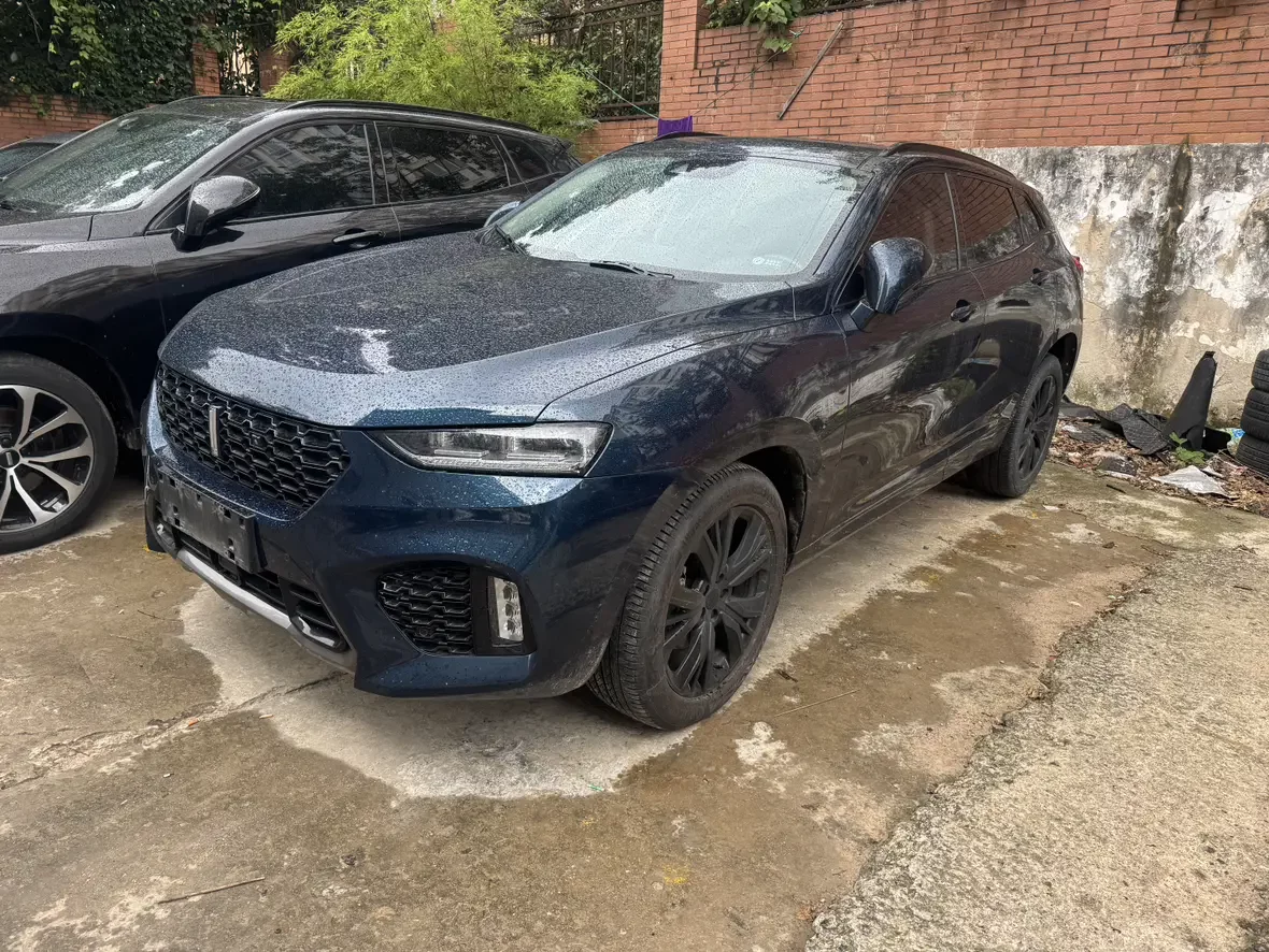Wey Wei brand VV7