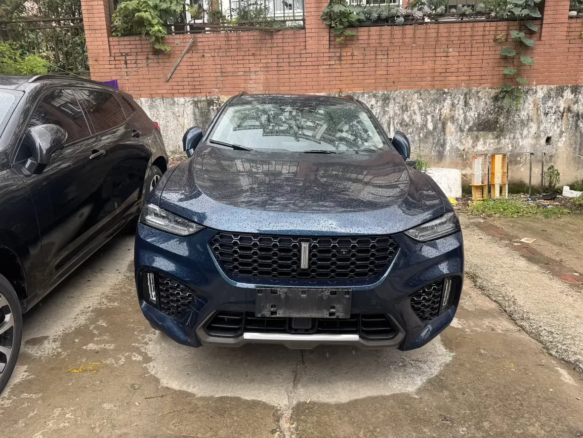 Wey Wei brand VV7