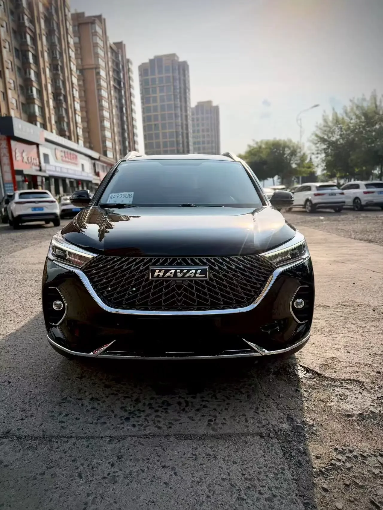 Haval M6