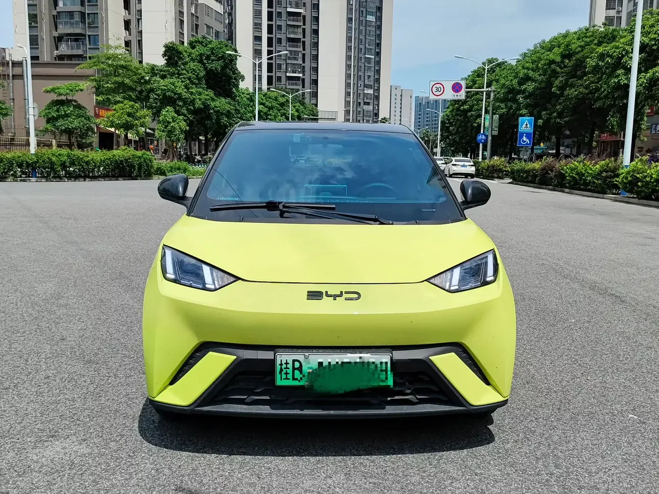 BYD seagull