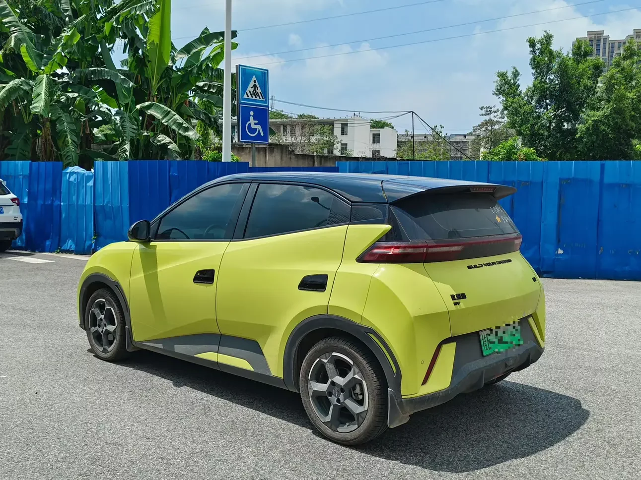 BYD seagull