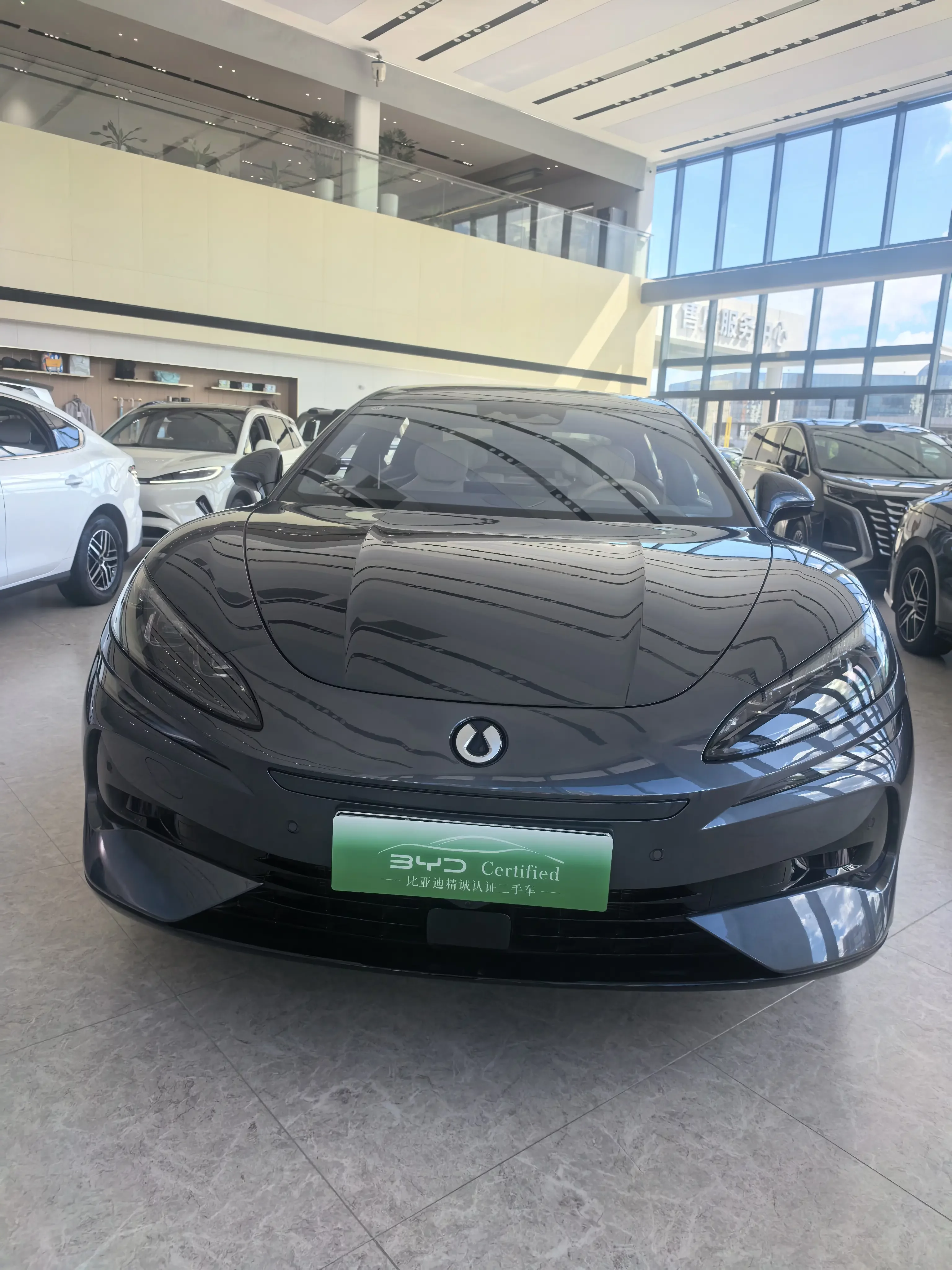 Denza Tengzhong Z9 DM