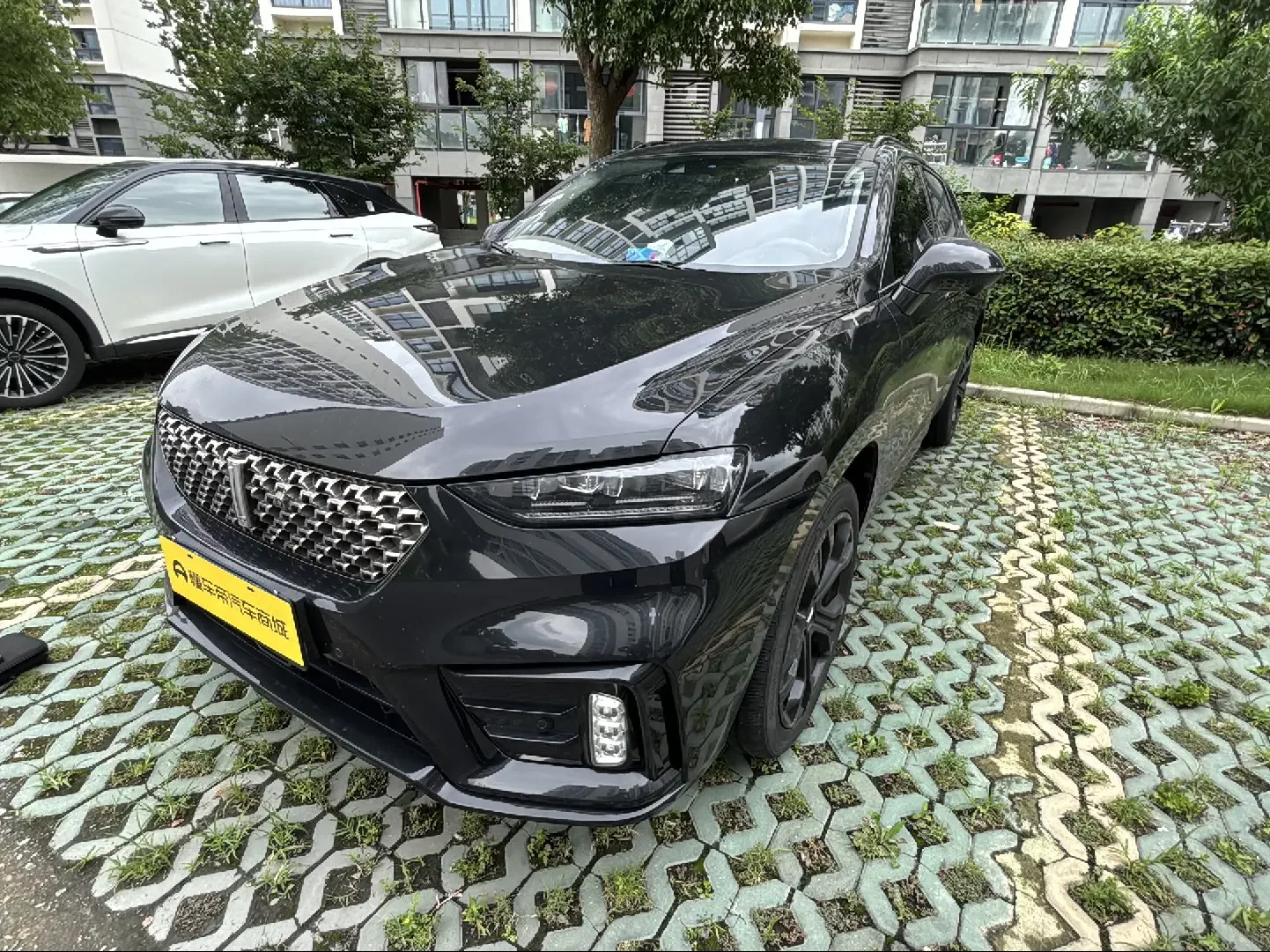Wey Wei brand VV7