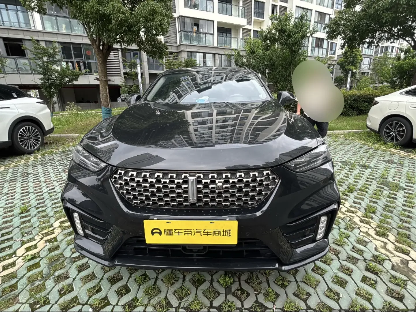 Wey Wei brand VV7