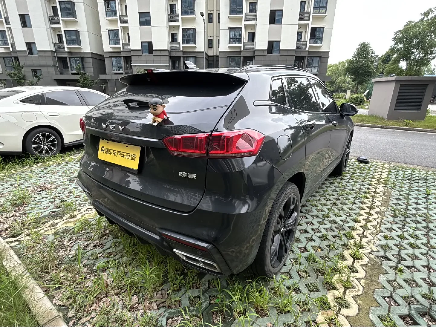 Wey Wei brand VV7