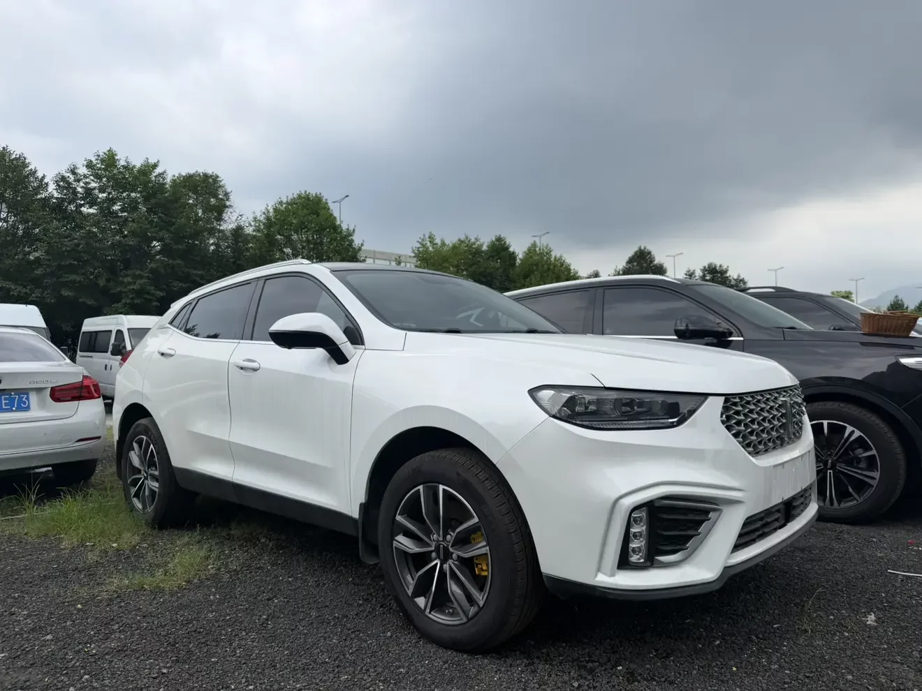 Wey Wei brand VV5