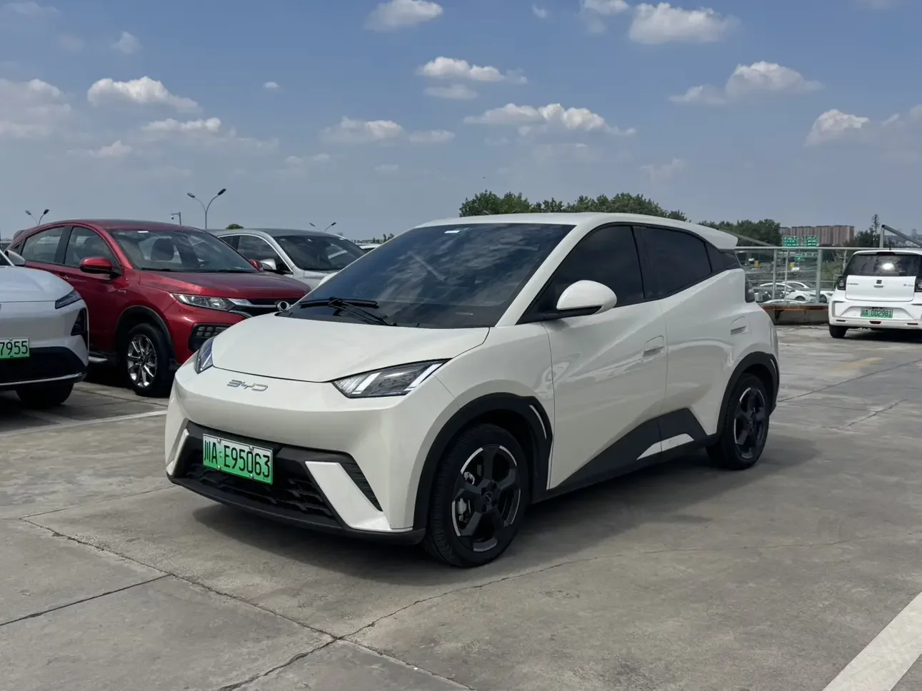 BYD seagull