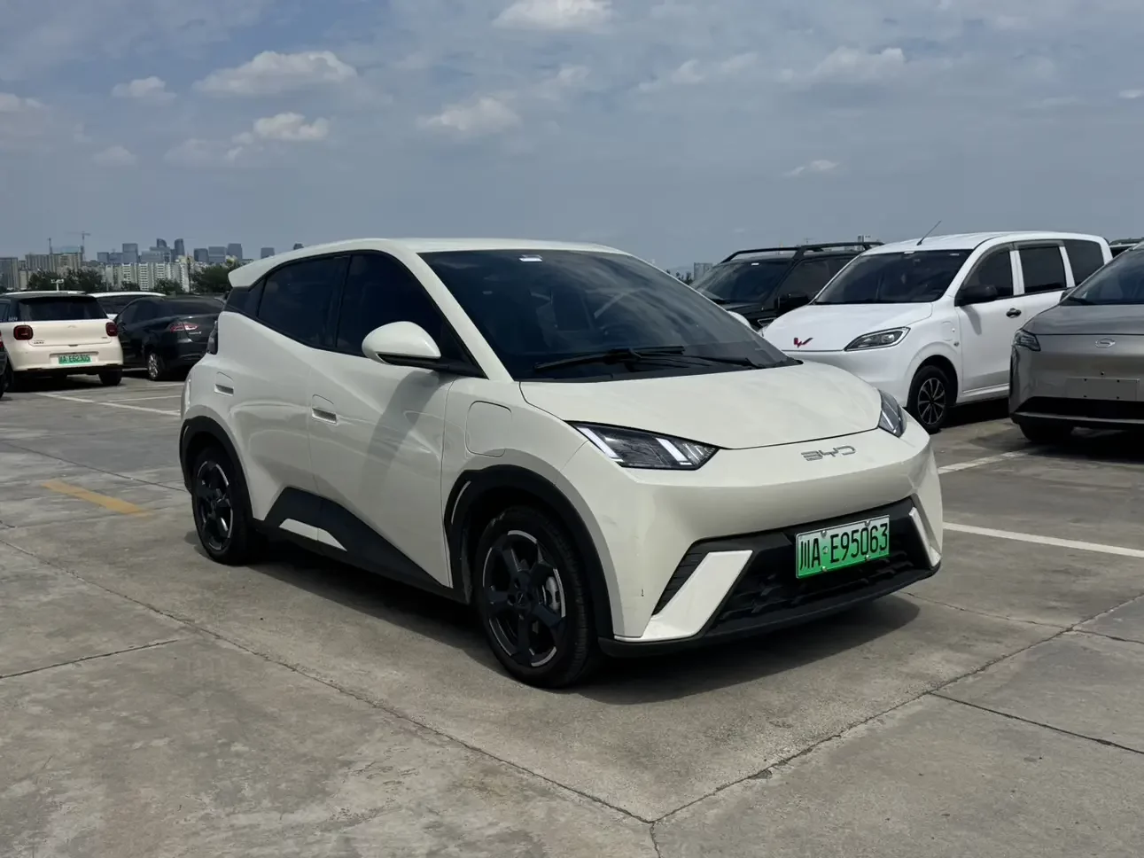 BYD seagull