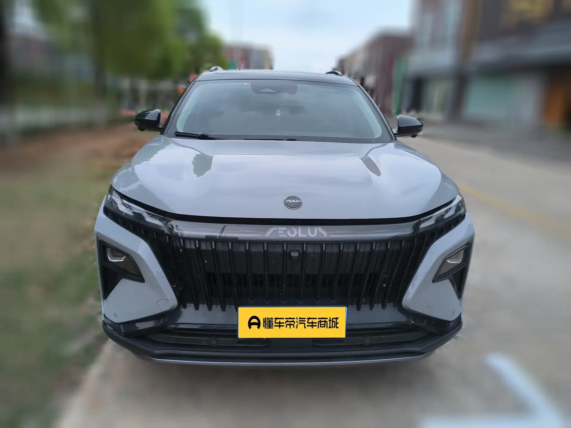 Dongfeng Haoji