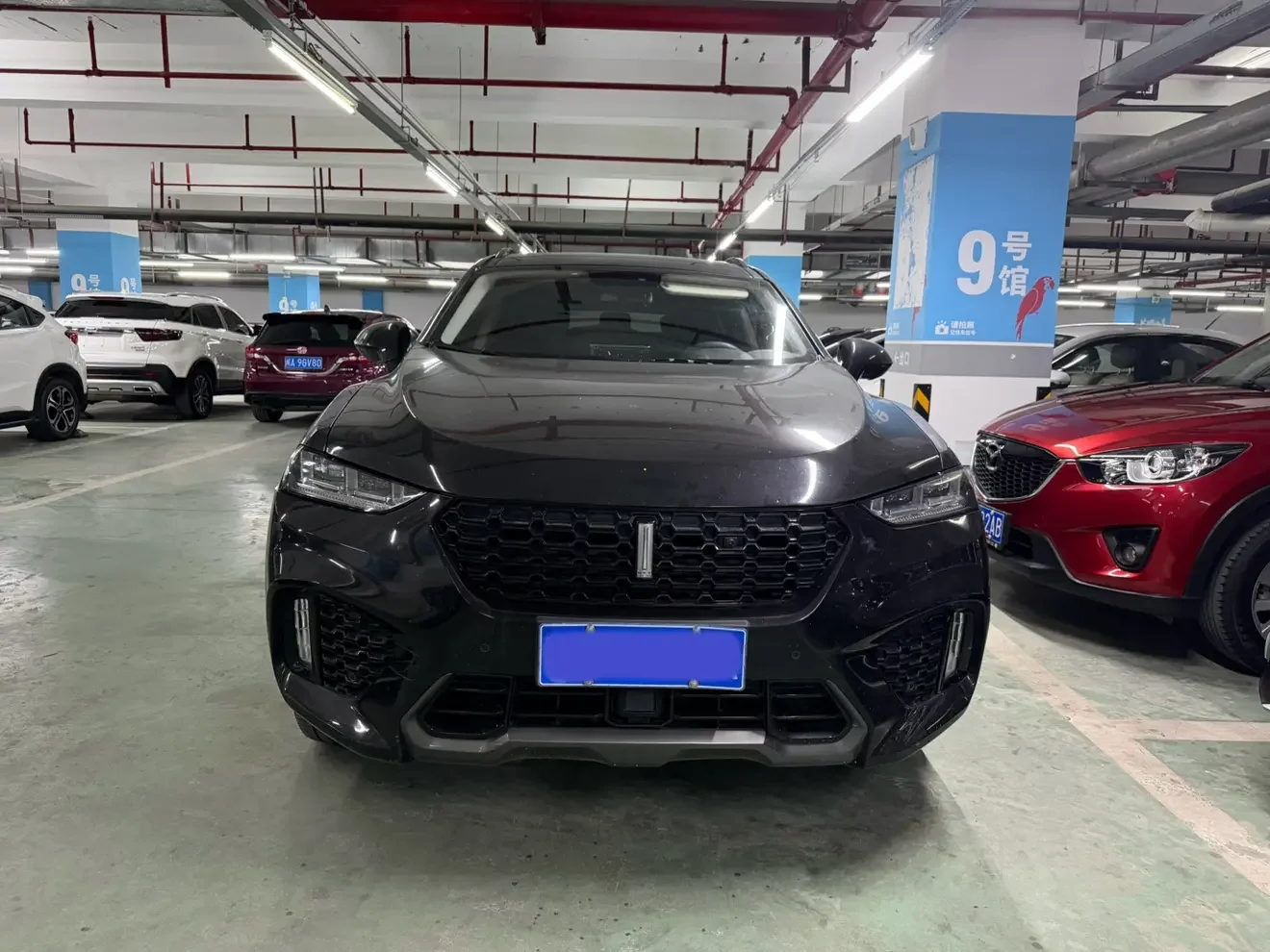 Wey Wei brand VV7