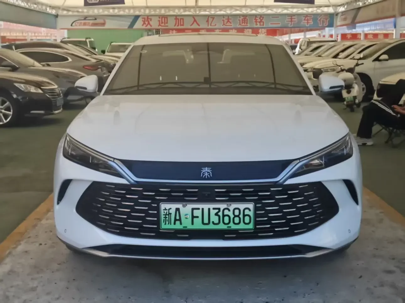 BYD Qin L DM