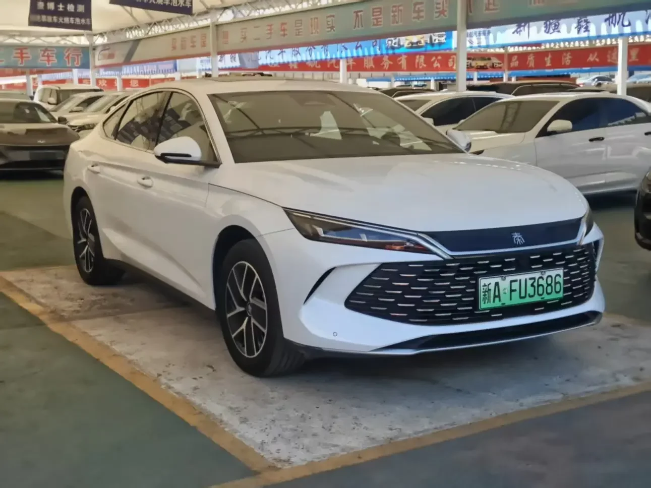 BYD Qin L DM