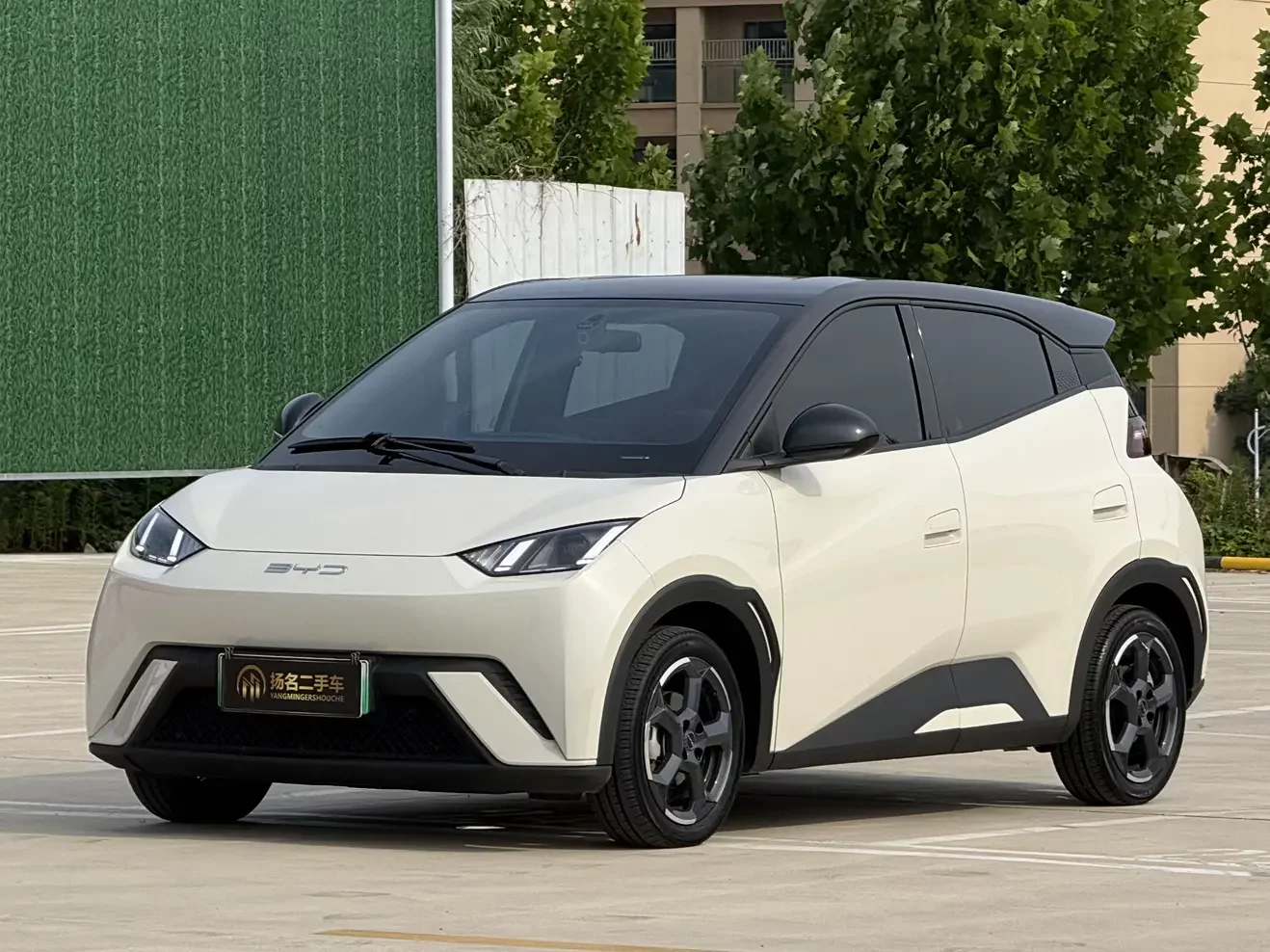 BYD seagull