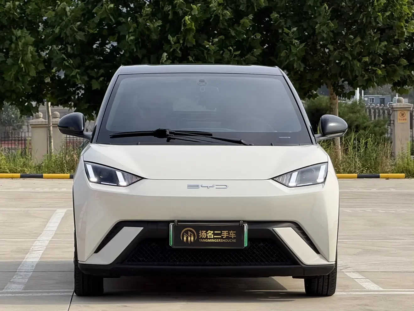 BYD seagull