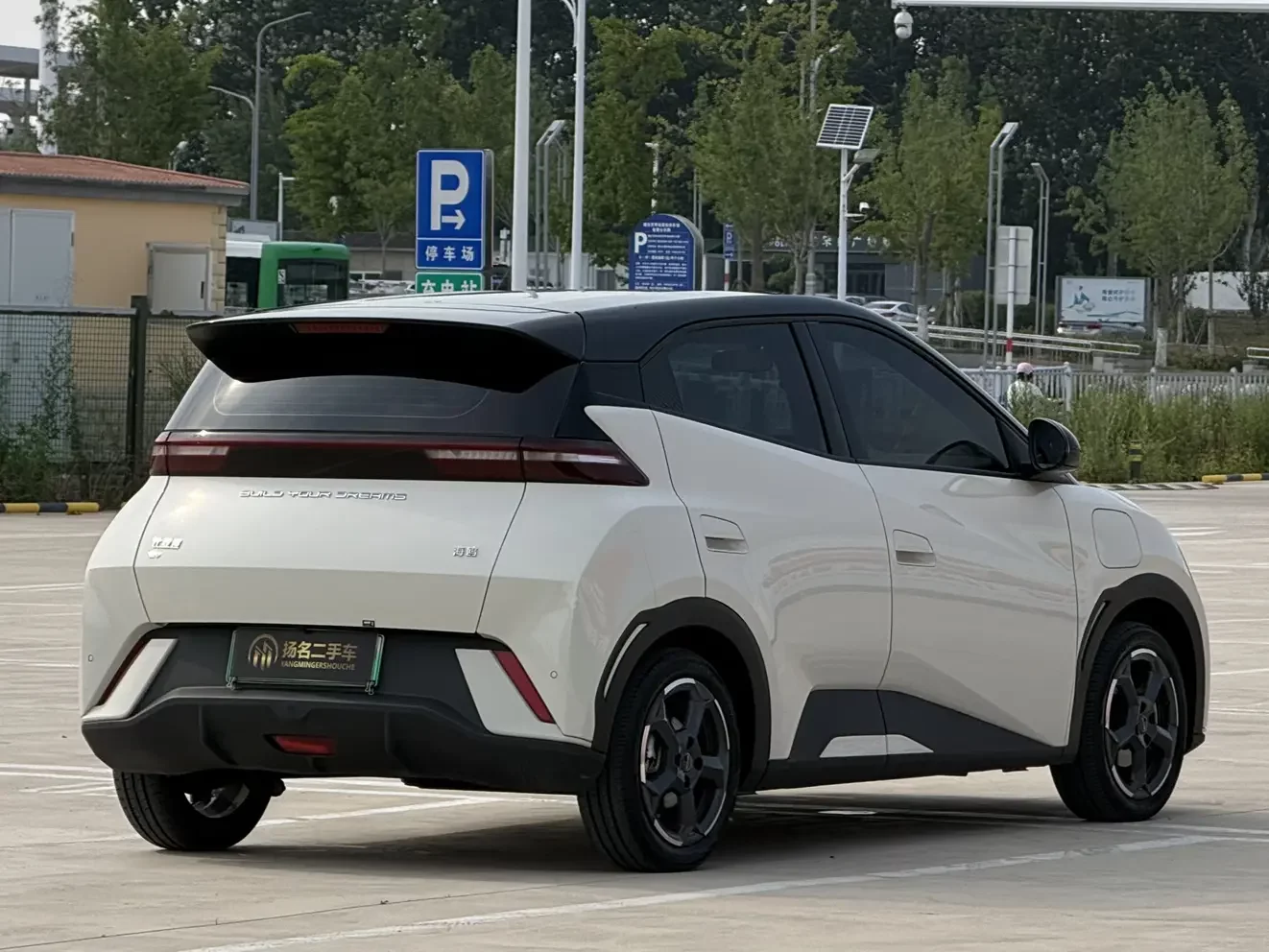 BYD seagull
