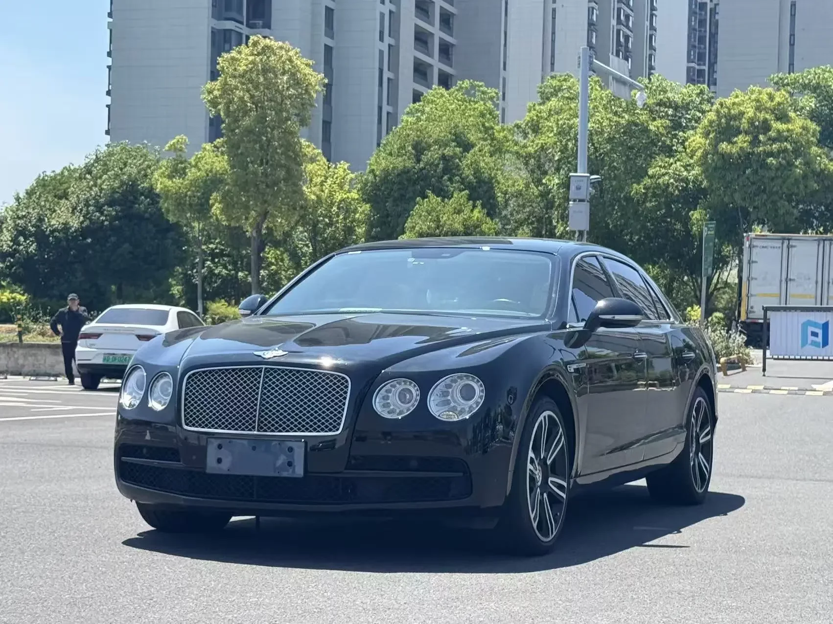 Bentley galloping