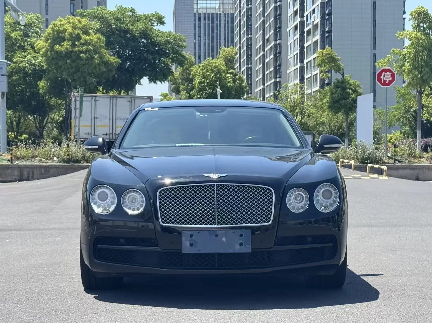 Bentley galloping
