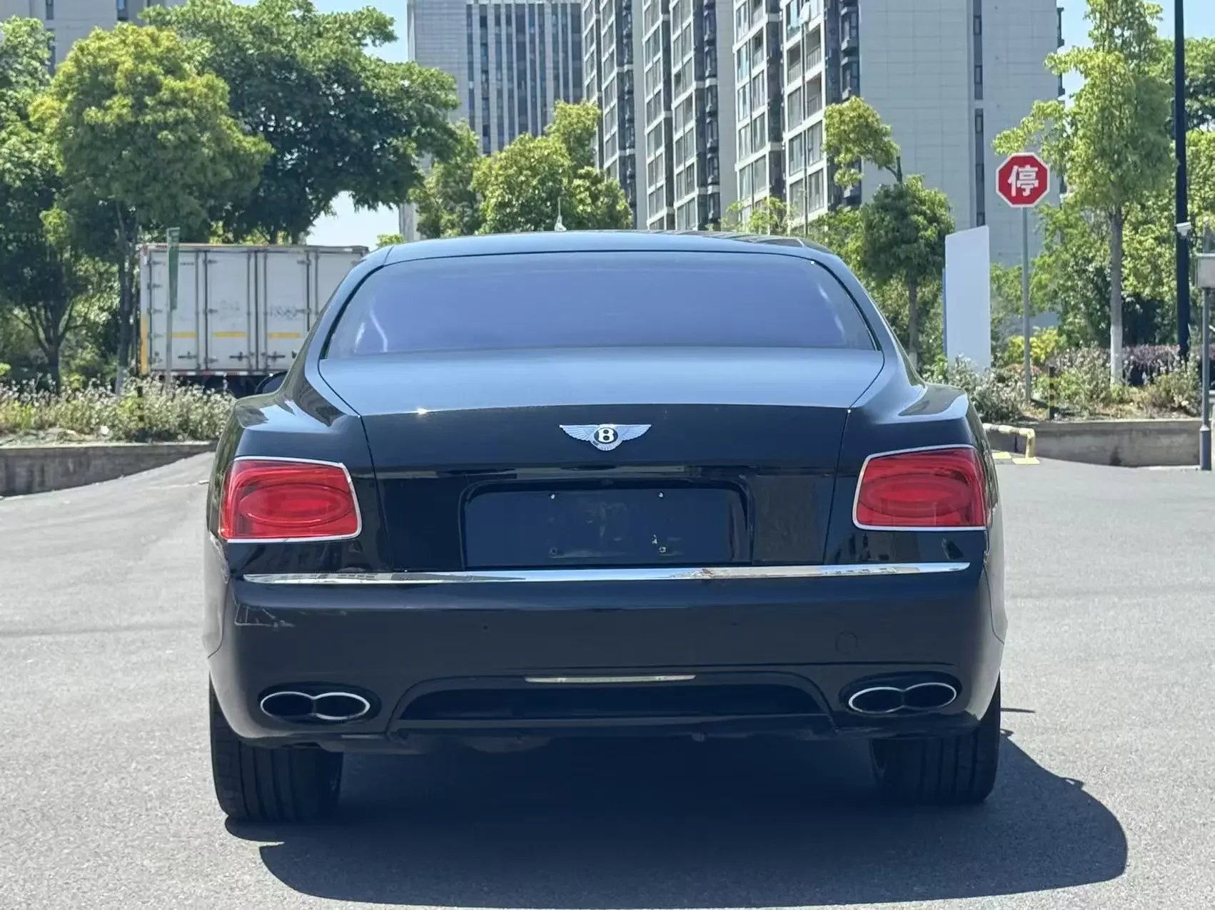 Bentley galloping