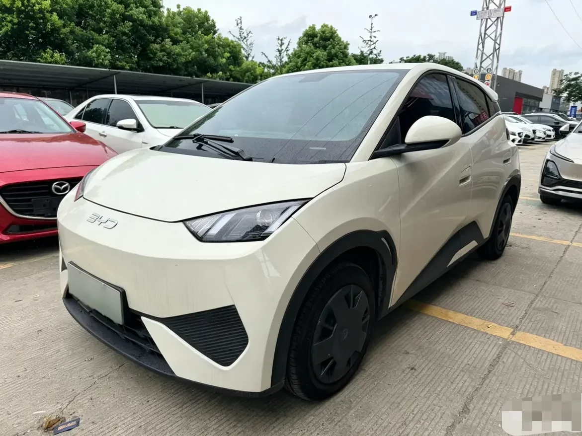 BYD seagull