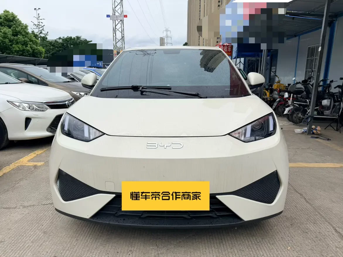 BYD seagull