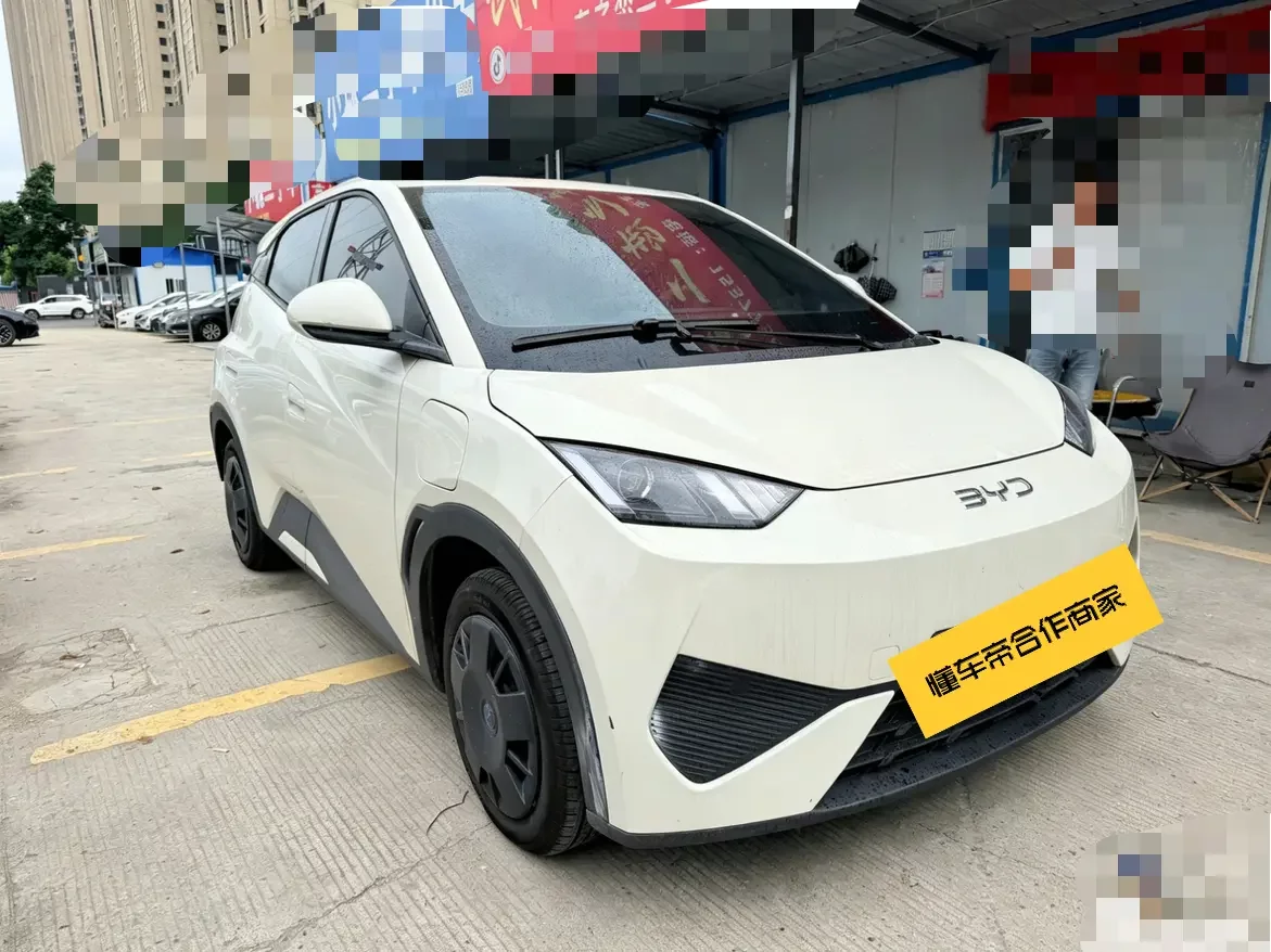 BYD seagull