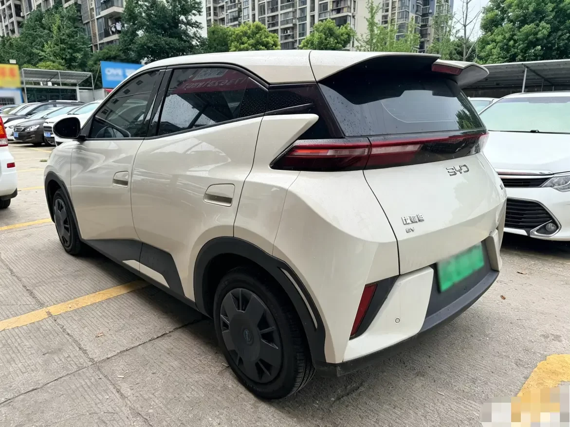 BYD seagull