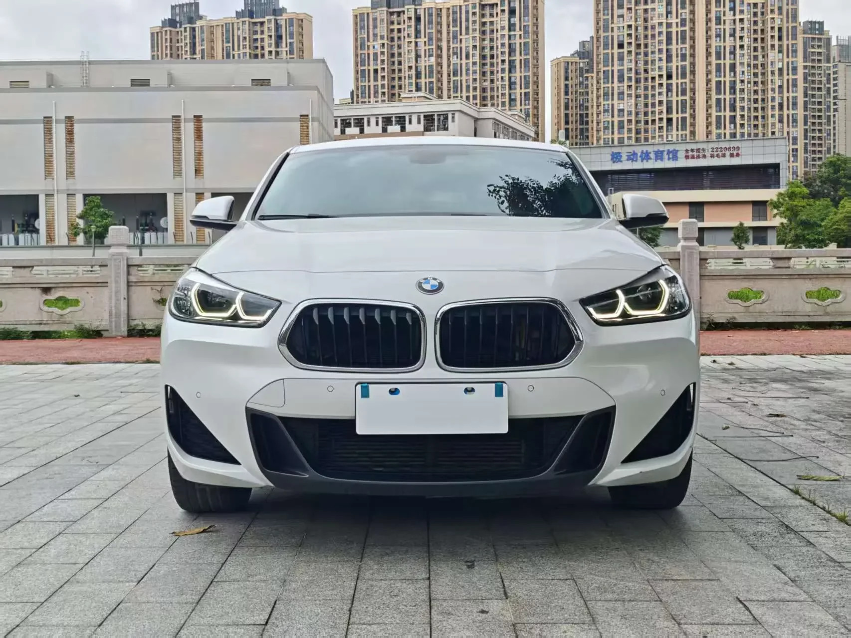 BMW X2