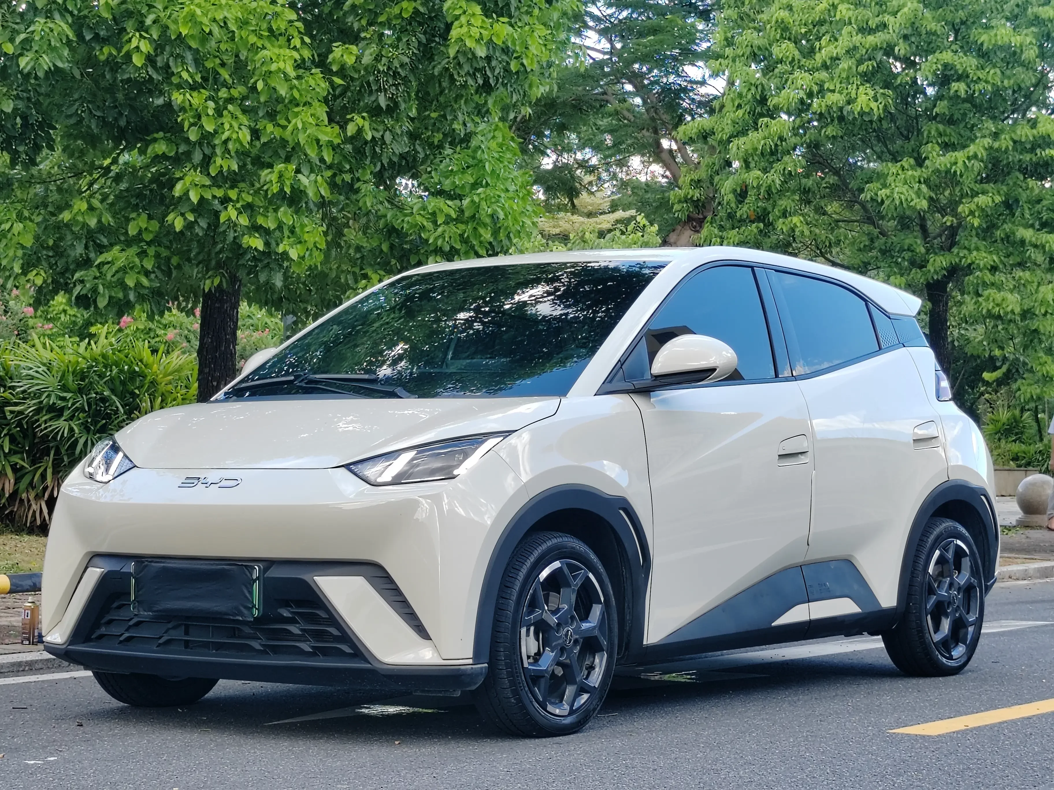 BYD seagull