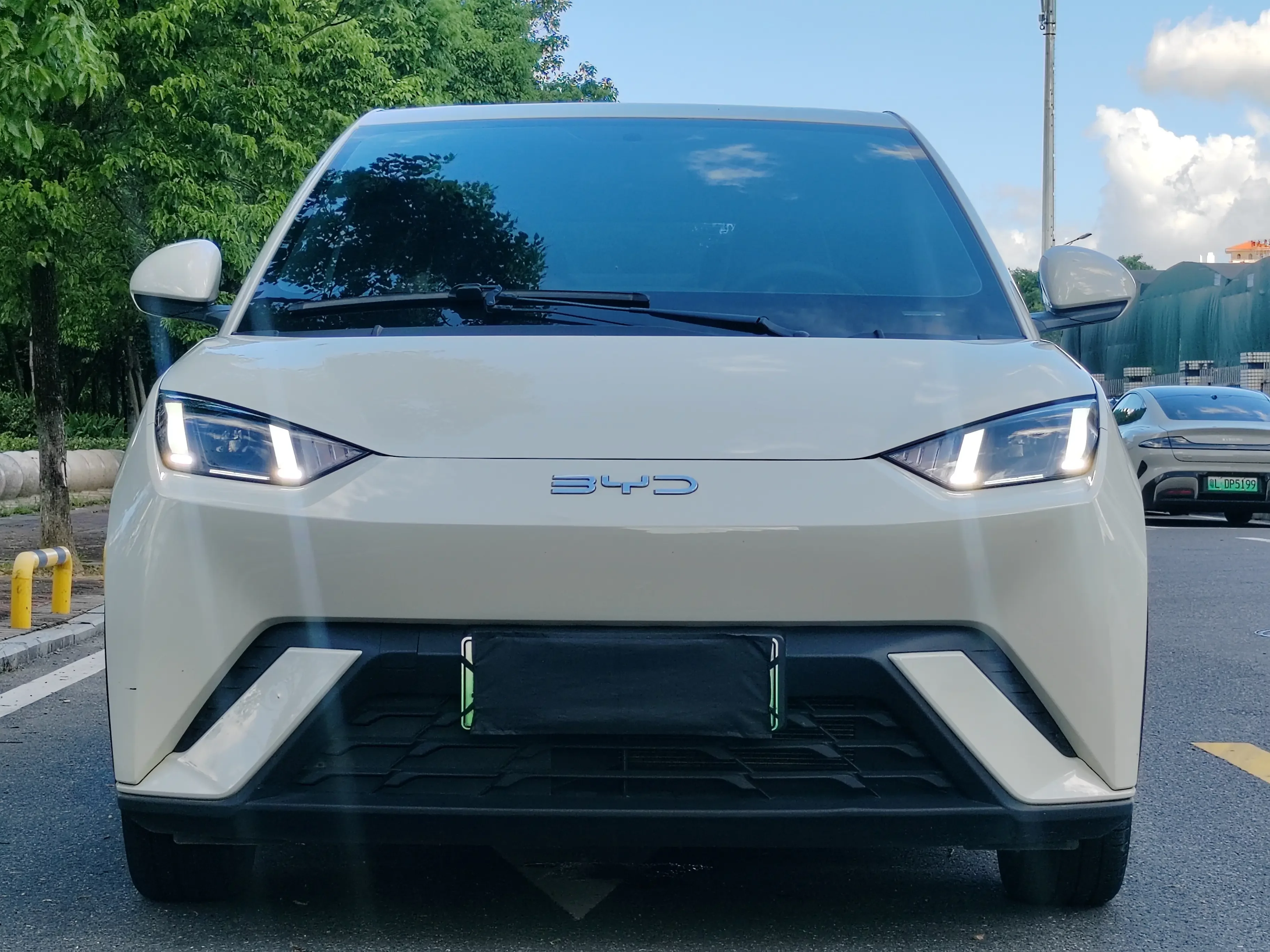 BYD seagull