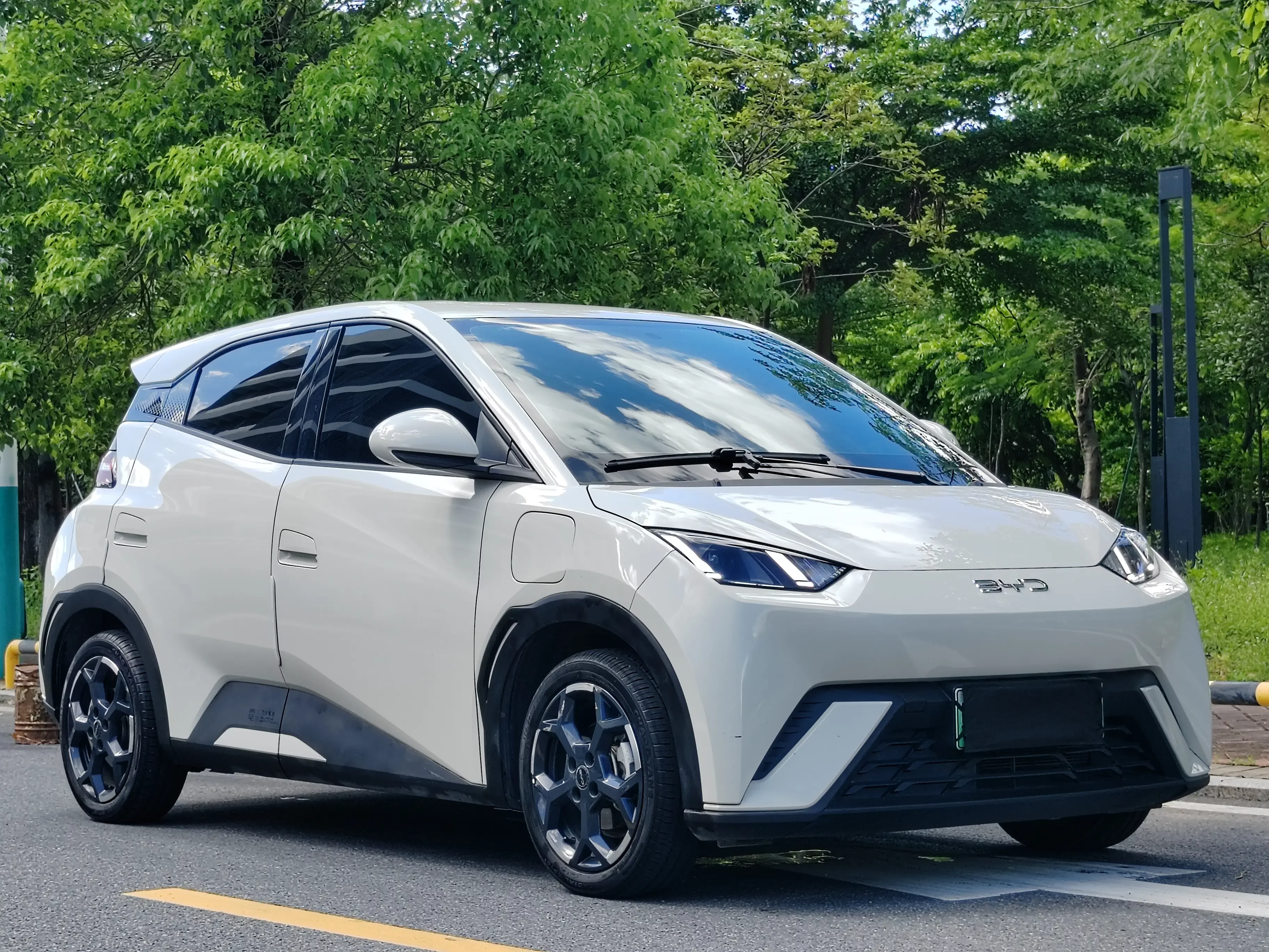 BYD seagull