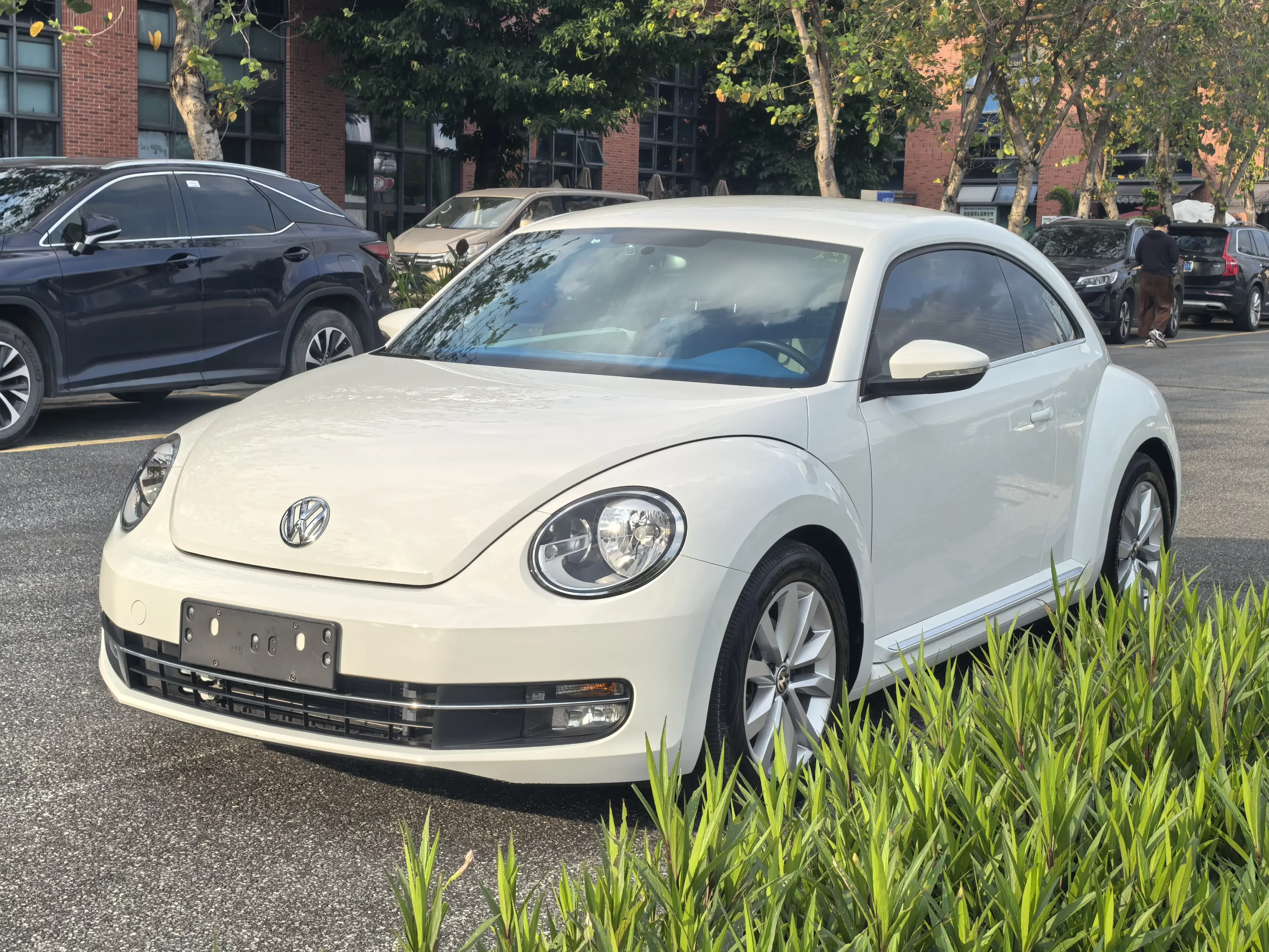 Volkswagen Beetle