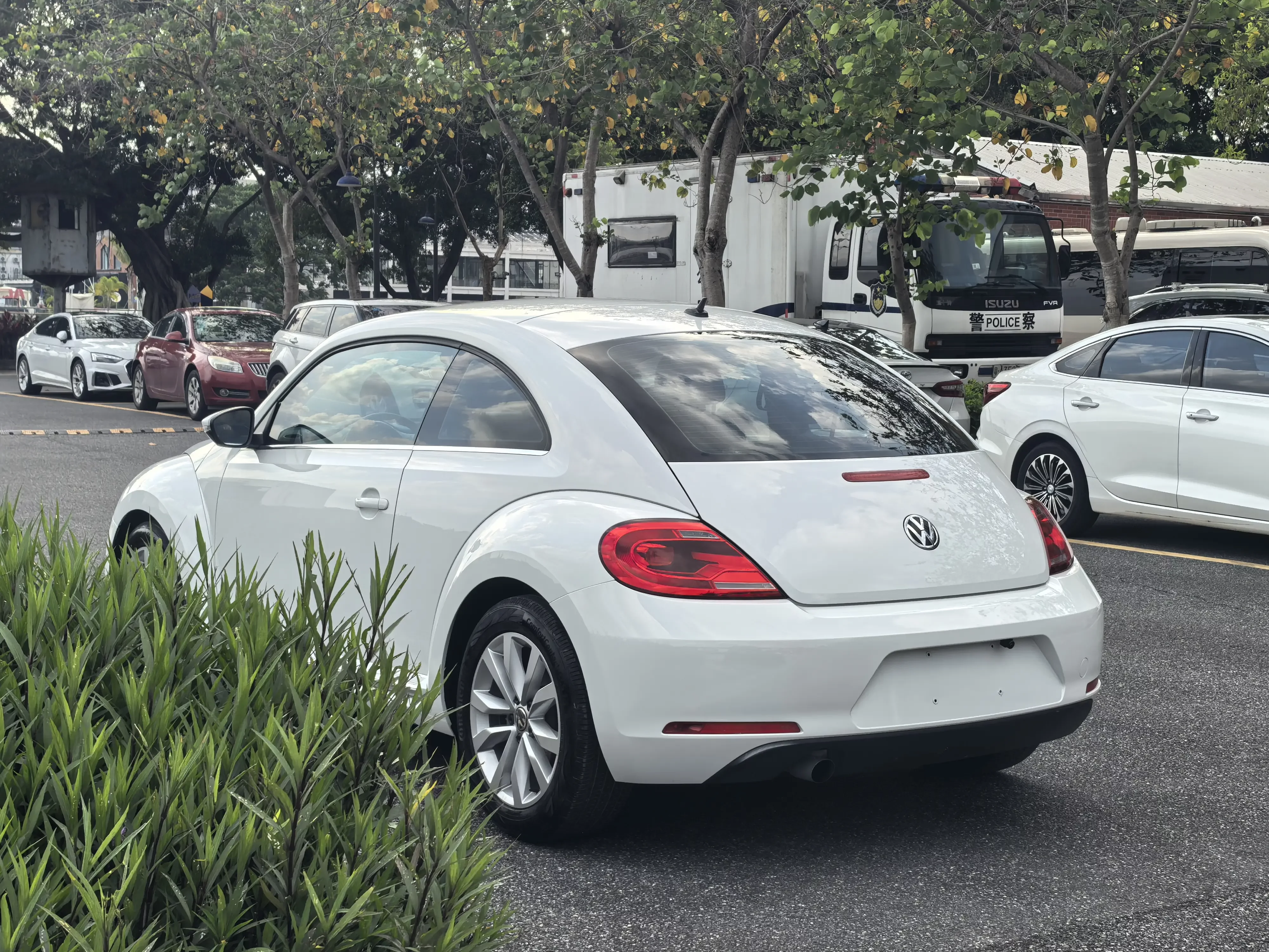 Volkswagen Beetle