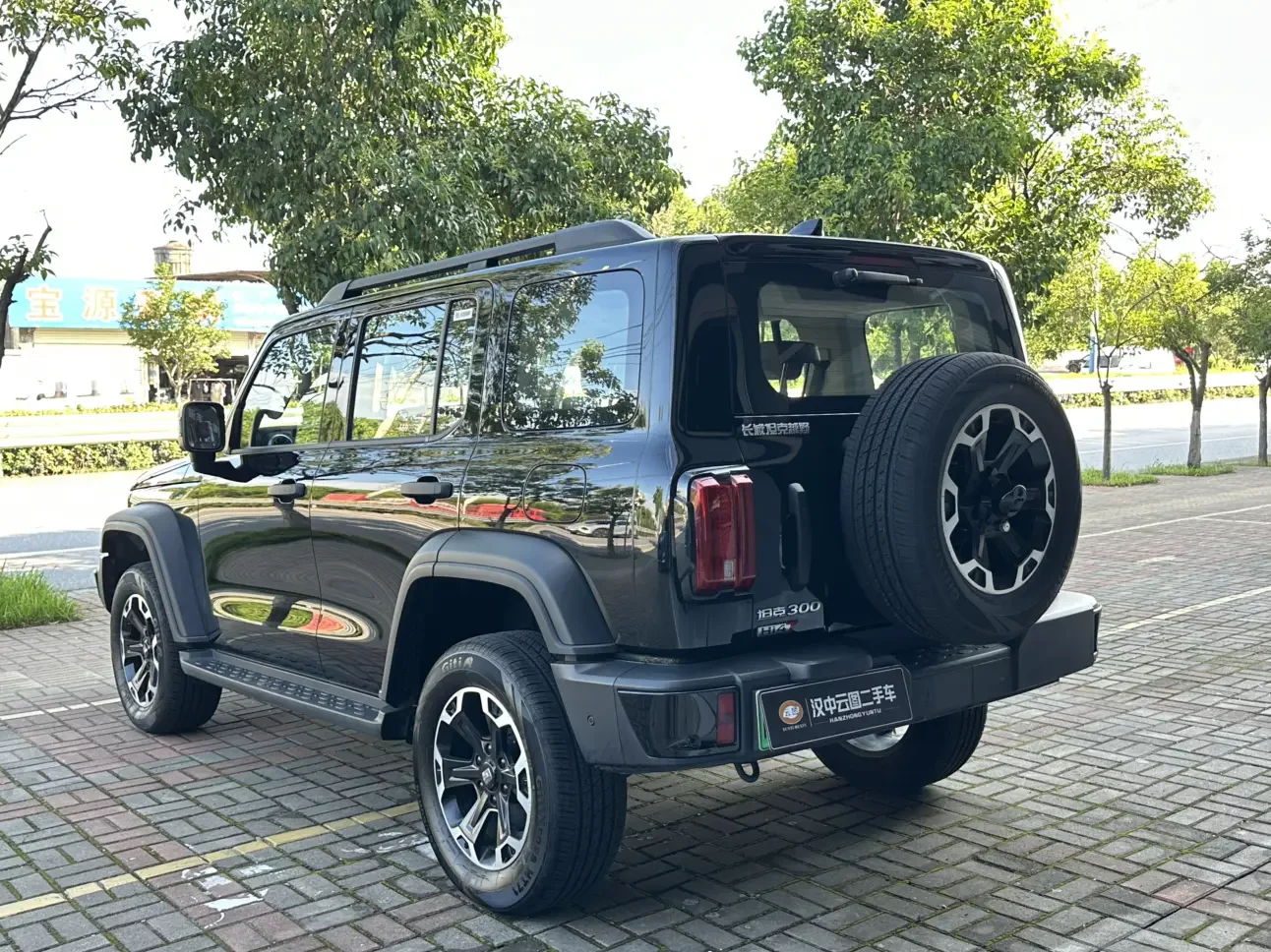 Tank 300 Hi4-T