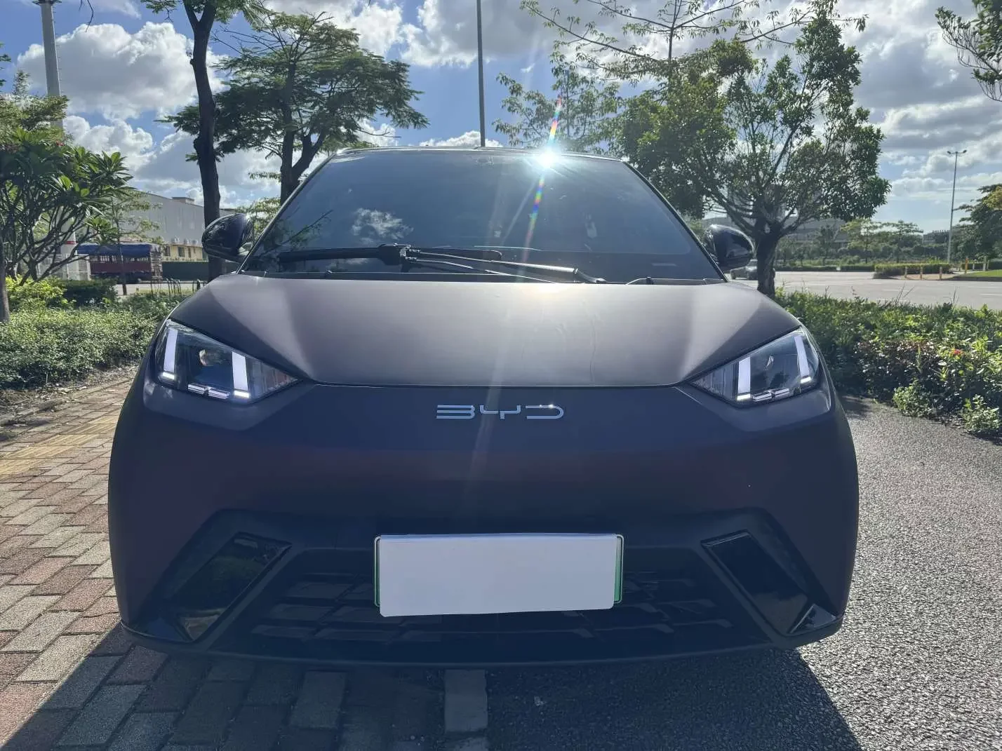 BYD seagull