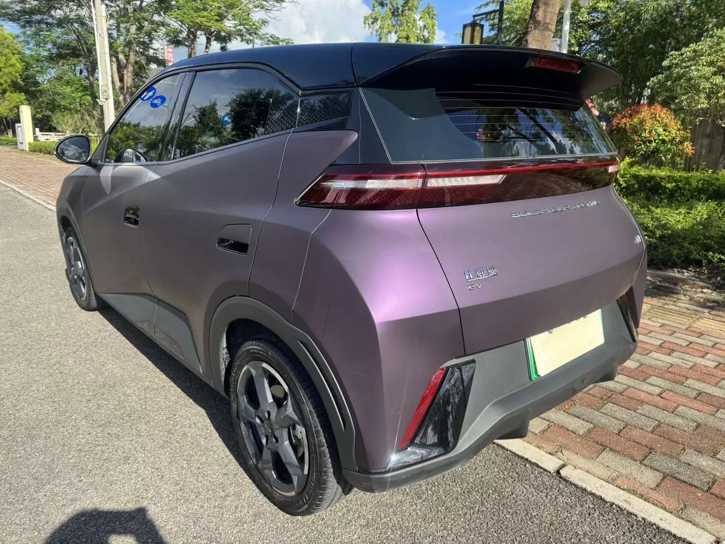 BYD seagull