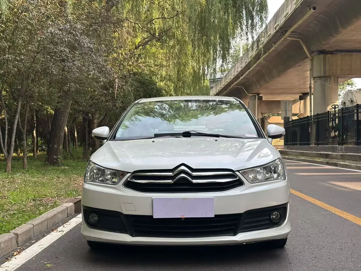 Citroën SEGA  из Китая