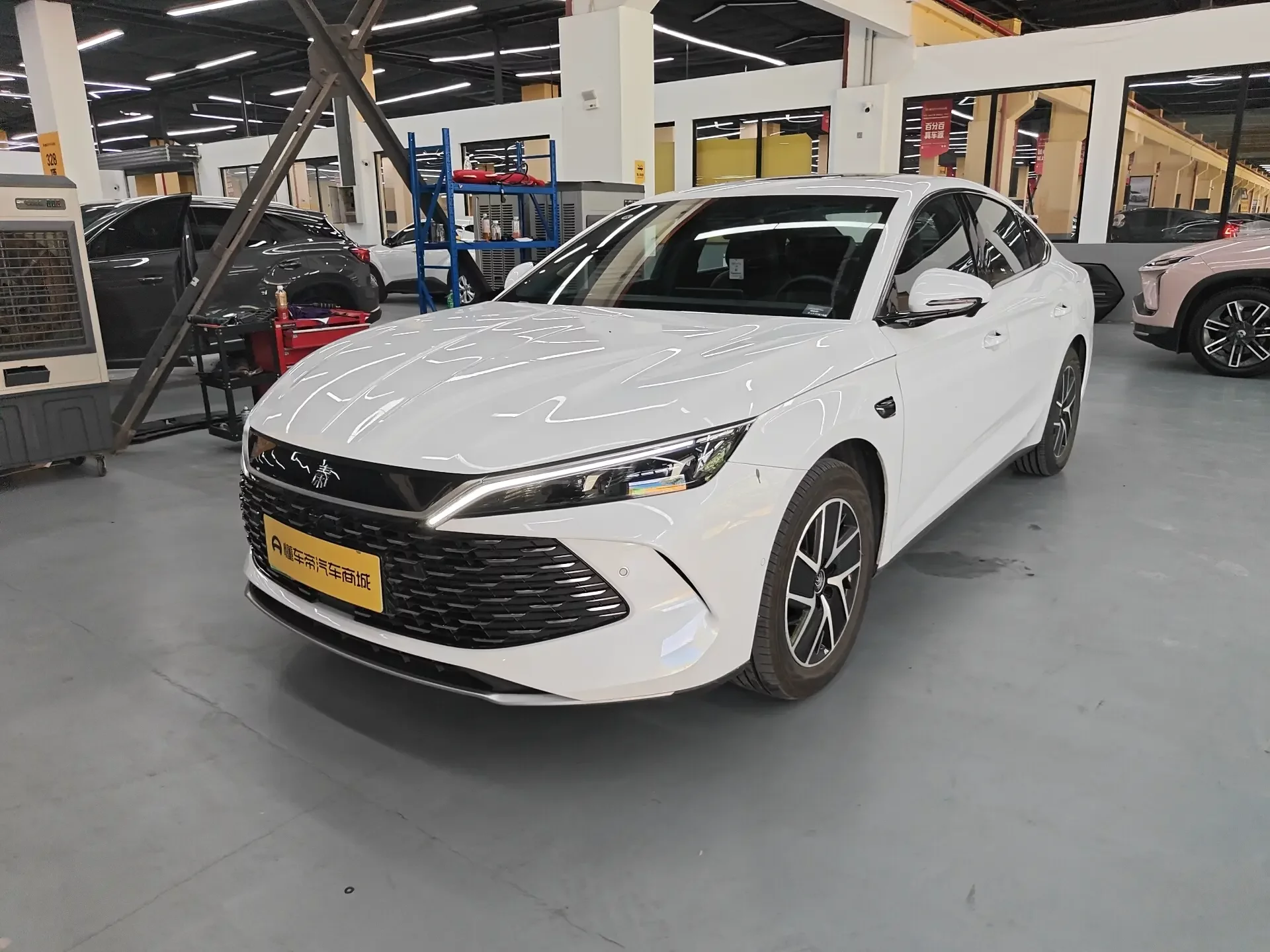 BYD Qin L DM
