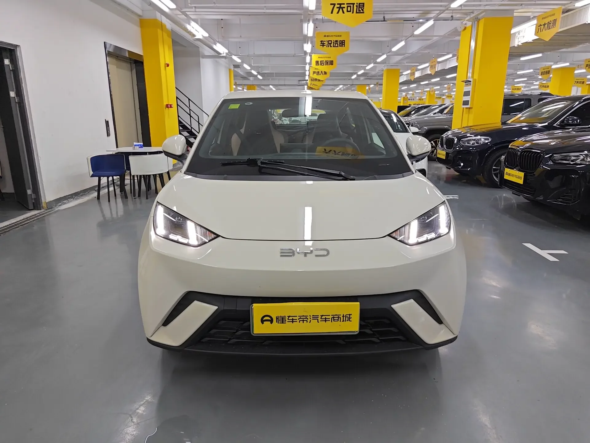BYD seagull