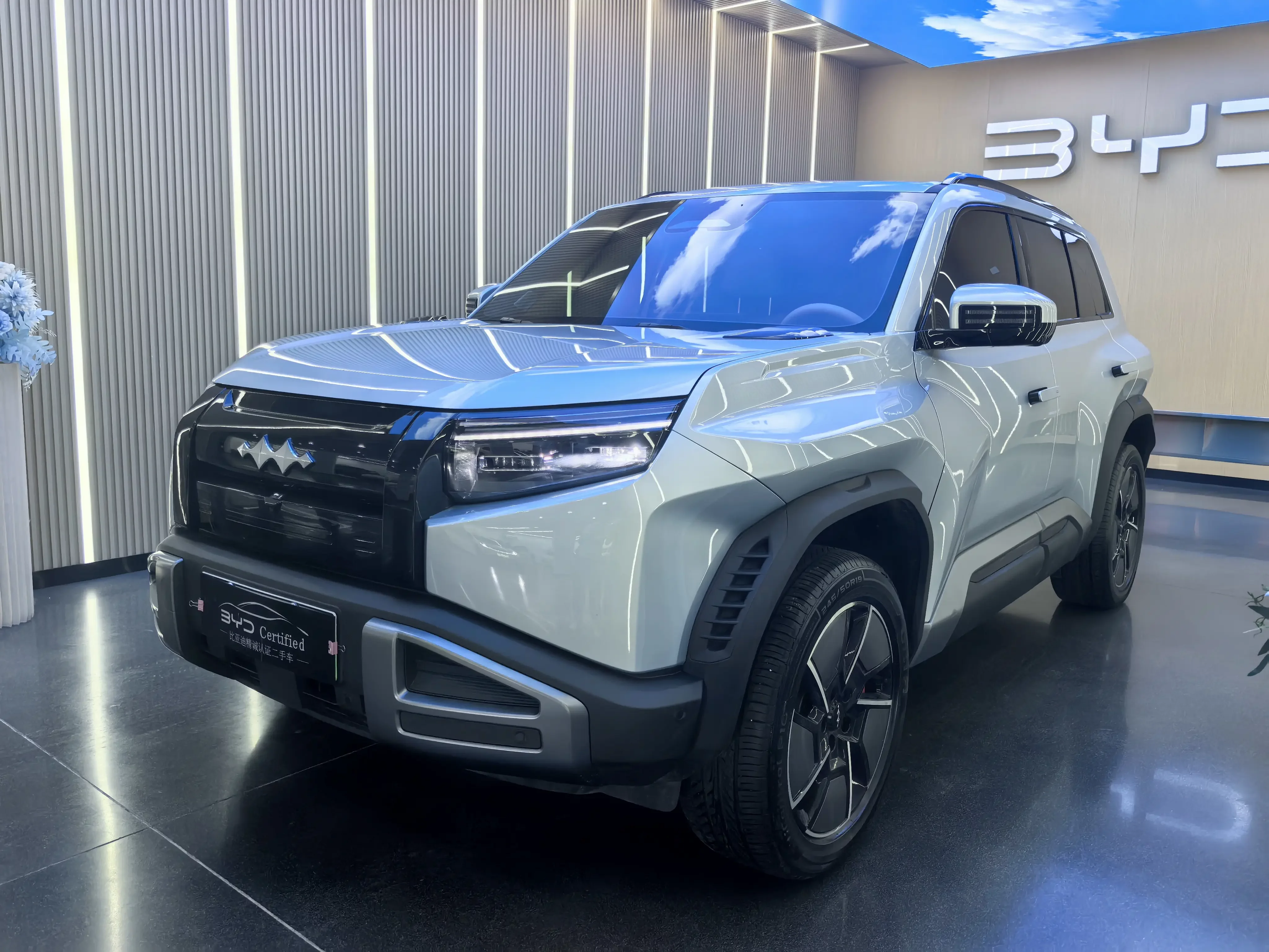 BYD Leopard Titanium 3