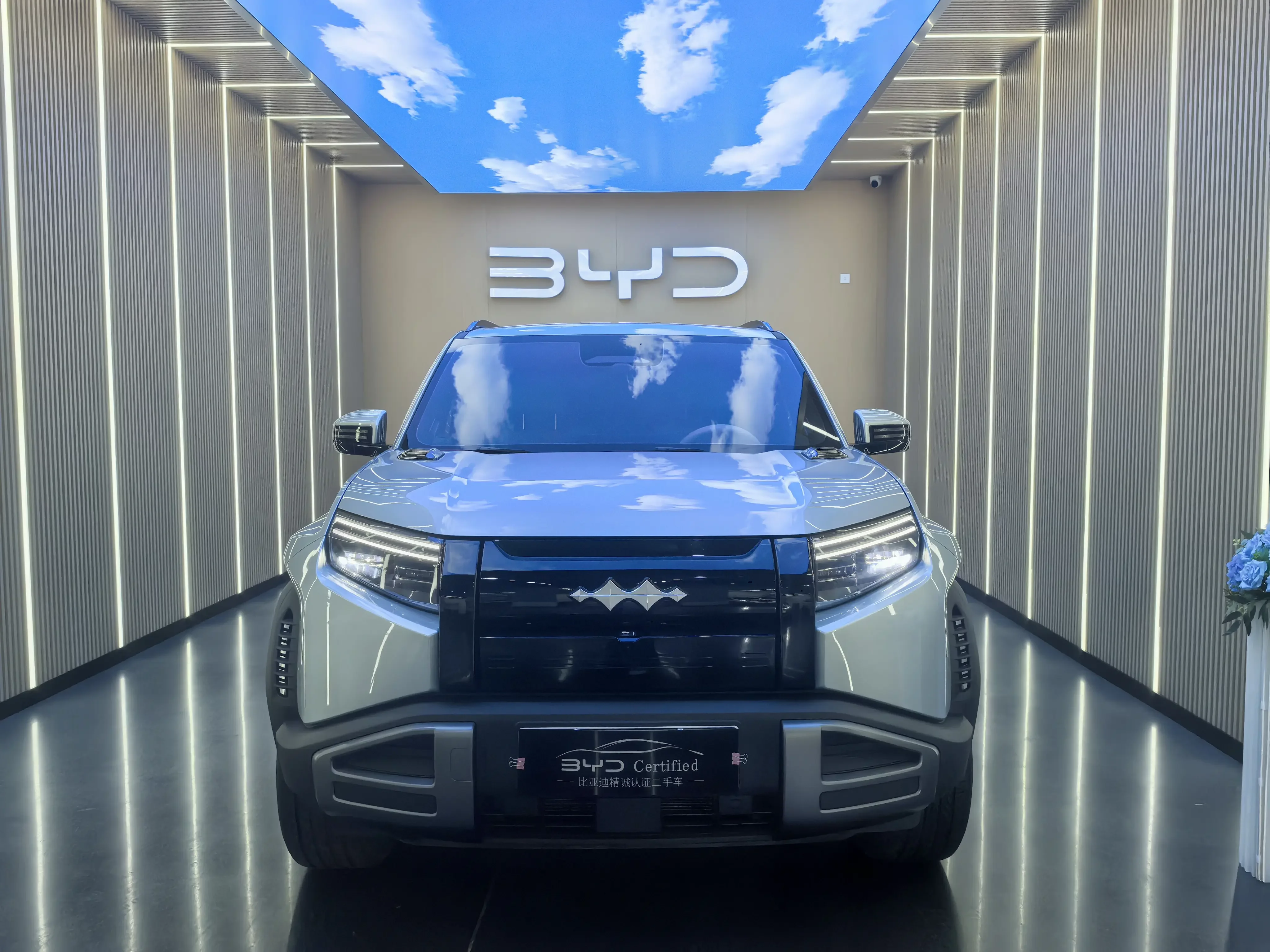 BYD Leopard Titanium 3