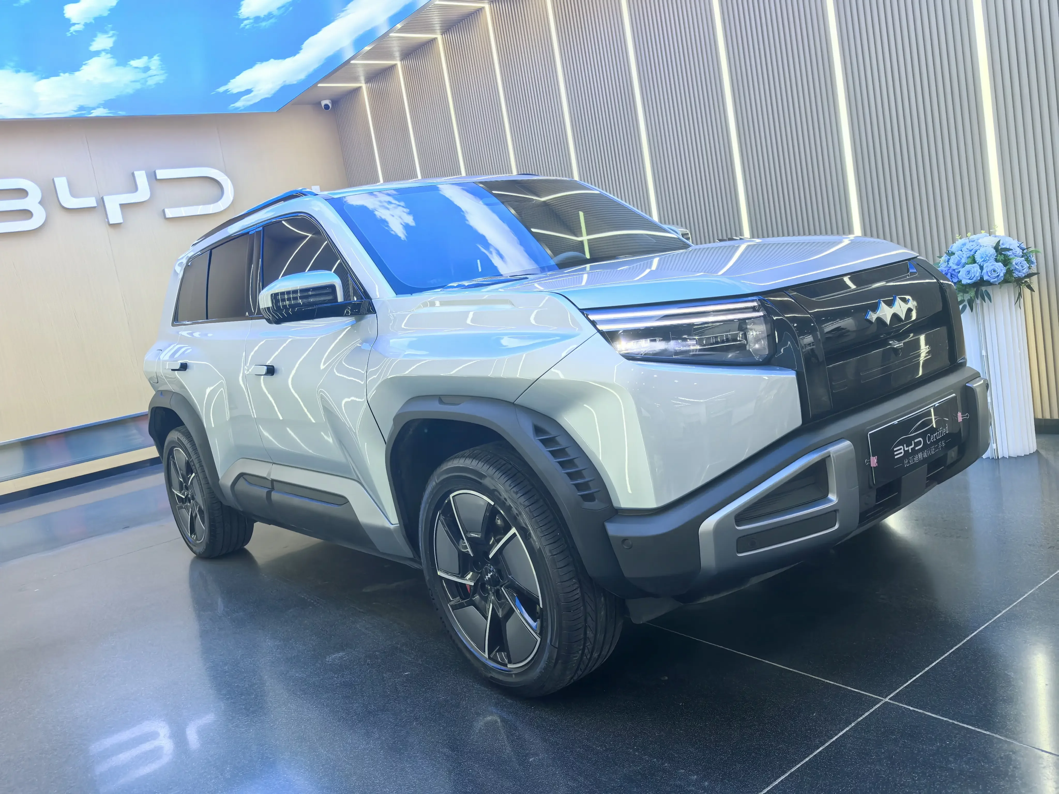 BYD Leopard Titanium 3