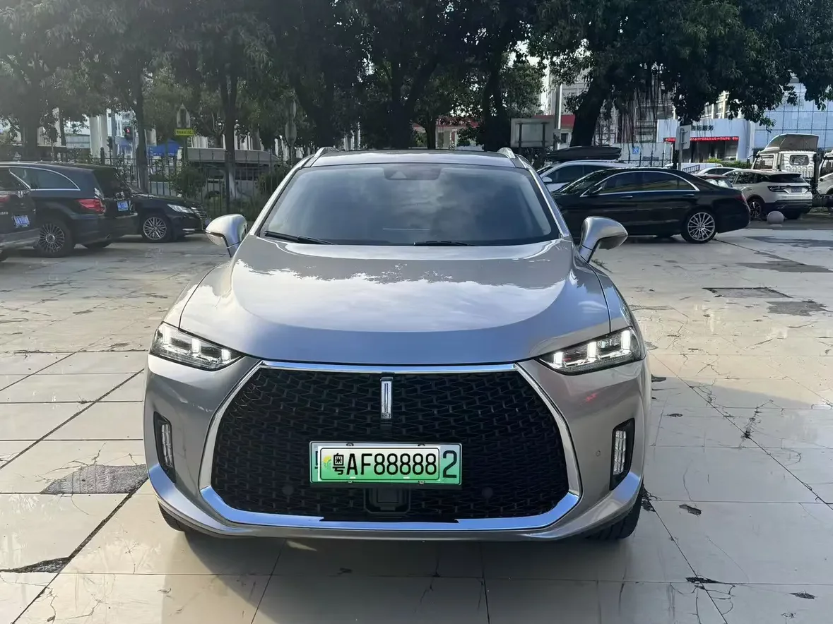 Wey Wei brand P8