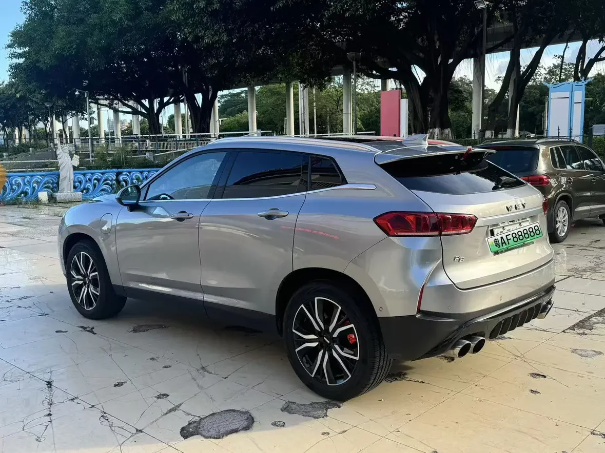 Wey Wei brand P8