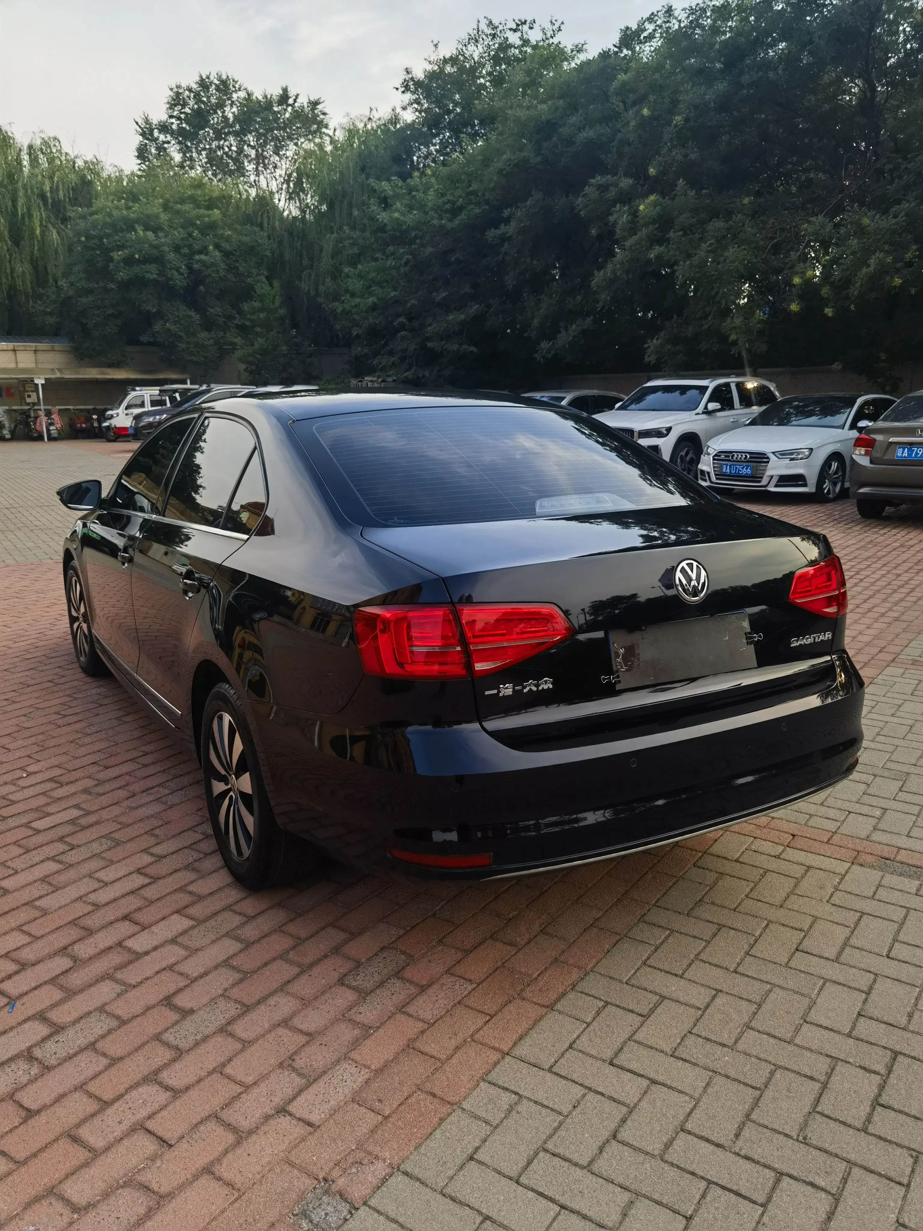 Volkswagen Sagitar